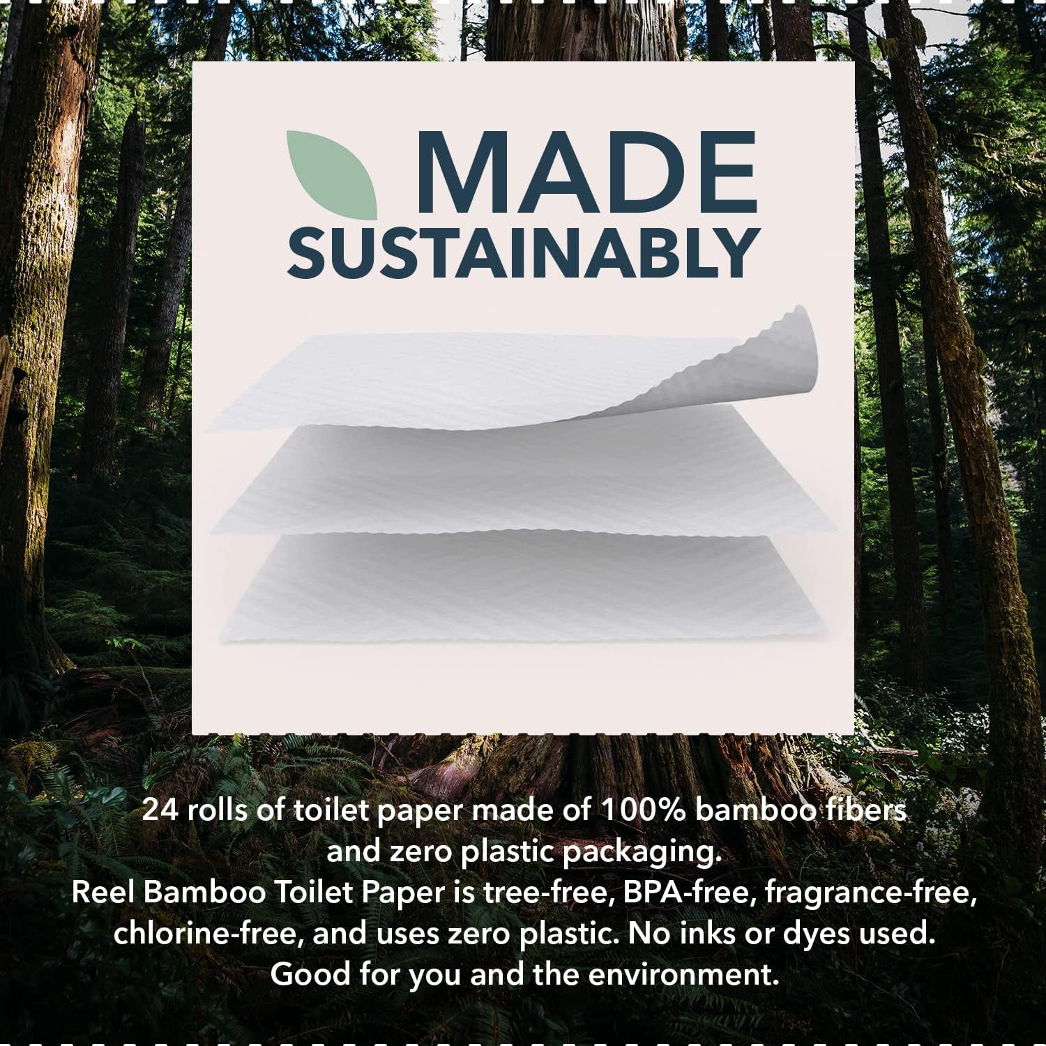 , Tree-Free, 100% Bamboo Toilet Paper (Box of 24)
